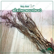 Whole Forest Roots | Flexible Forest Roots for Aquarium Decoration, Semi-terrain, Reptiles | 8m2