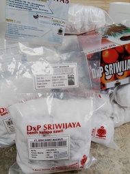 Bibit/biji kecambah sawit Sriwijaya 5 Original