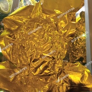 buah durian musang king utuh nitro asli import malaysia raja duren mk