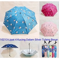 3-FOLD UMBRELLA motif