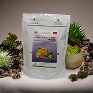 ANTI-GUM K+C MAX PACKAGE 100G FOR PETS