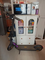 Ninebot G30 max 電動滑板車 超級續航爬山能力