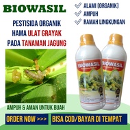 500 ML Biowasil Basmi Ulat Grayak Jagung – Pestisida Nabati Atasi Ulat Pada Buah dan Daun Jagung Obat Anti Hama Pemakan Buah dan Daun Jagung – Pupuk Organik Semprot Usir dan Bunuh Ulat Grayak Pemakan Jagung Paling Bagus