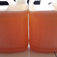 🔥[Harga Runtuh] Madu Sidr Gred AAA / 1 Gallon🔥