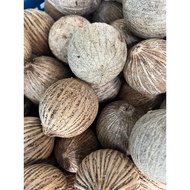 Coolie fruit (new fruit) 250g