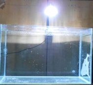 【光力能LED植物燈坊】12W大功率LED泛光型5X3W全光譜400nm~840nm白光包膠軟管植物水族海水珊瑚缸夾燈