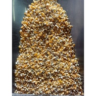 Jagung Kasar B Hancur C [20Kg] Makanan Ayam Burung Corn Grits B/C Chicken Bird Feed 玉米碎醋细Order more 