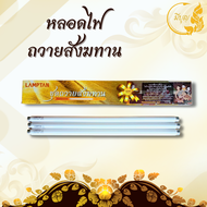 หลอดไฟ  หลอดไฟถวายพระ หลอดสั้น สำหรับถวายสังฆทาน ส่องแสงทางชีวิตก้าวหน้า T8 18W เดย์ไลท์ (1กล่องบรรจ