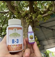 H1+B3 combo kích sung ra hoa và kích quả