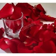 Kelopak Bunga Mawar Segar(Merah-Putih)/Bunga Mawar Asli/Bunga Mawar