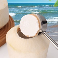 Coconut Opener Green Coconut Coconut Opener Coconut Egg Opener Coconut Meat Coconut Meat Shaving Too