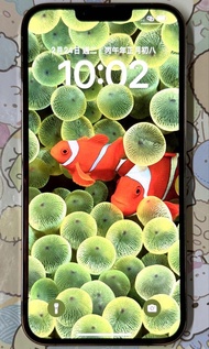 ( iPhone 13 Pro Max ) , ( 99.9%New , 全新一樣 , 全機冇花冇崩 ) , ( 香港行貨 ) , ( 金色機 ) , ( 256GB ) , ( 跟叉電線同火牛 )