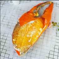 GẤU BÔNG HÌNH CÀNG CUA 3D NHƯ THẬT (2 SIZE)