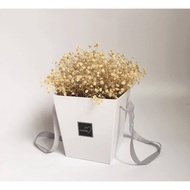 🌹 Popcorn Flower Pot 🌹🍿爆米花手提花桶🍿️‼️Ready Stock‼️