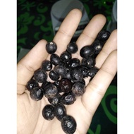 △✣❁5 Laurel Seeds Lucky Seeds Bayleaf with another Free