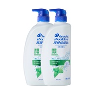 【海倫仙度絲】薄荷舒爽去屑洗髮乳750ml 二入組 公司貨#民生用品特輯 #年中慶