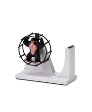 日本Magnets可愛動物系列滾輪跑跑轉圈圈大膠帶台/膠台(大猩猩款)