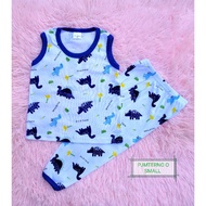 PAJAMA TERNO BOY SMALL (9MOS-1YR OLD)