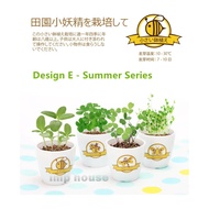 SG STOCK 4design DIY Indoor Plant Mini Indoor Plant for Home and Office Decoration Easy to Sprout