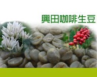 多明尼加 超級藍山 水洗 *堅果花香風味【每包500公克】【興田咖啡生豆】精品咖啡生豆