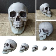SJ@>DAPHNE 1PC All Size Human Skeleton Terrible Halloween Props Skull Head Party Decoration Home Dec