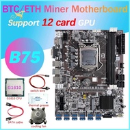 B75 12 Card BTC Mining Motherboard+G1610 CPU+Fan+Thermal Grease+SATA Cable+Switch Line 12 USB3.0 Slot LGA1155 DDR3 MSATA