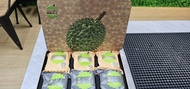 最后貨尾140一盒！2盒260！4盒或以上120蚊一盒！有門市 榴槤鮮生 榴槤先生 榴槤月餅 durianman 貓山王 黑刺