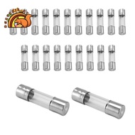 20 x 250 V 2A F2AL Quick F link Glass tube fuse 5 mm x 20 mm