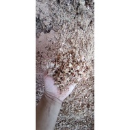 (1Kg)Habuk Kayu Kasar / Sawdust /木屑