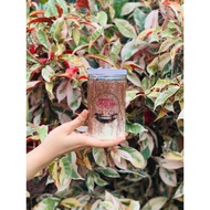Delicious Chocojar Homemade-kudapan chocojar rangup dan sedap