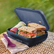 Bigger Lunch Box Tupperware (1)