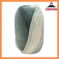 DMC Brio Worsted Yarn 345m Ball - Color #403 8121