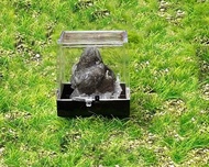 小小能量礦石擺件-可愛精品小迷你熊貓方解石 招財 旺事業