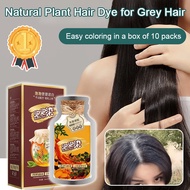 ⚡SG Stock⚡Natural Plant Hair Dye 植物染发剂Multifunctional plant extract hair dye Gentle and non-damaging easy to dye hair at home Bubble hair dye that covers gray hair