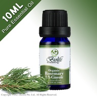 Biolife Organic Rosemary, 100% Pure Aromatherapy Natural Organic Essential Oil (10ml Single-Note Oil), suitable use for Diffuser, Humidifier, Massage, Skin Care