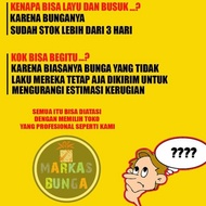 Bunga Anggrek Bulan / Buket Bunga Anggrek / Rangkaian Bunga Anggrek