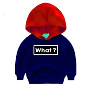 What Hoodie Sweater Ages 1-6 Years - Kids Top