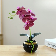 CEILO Bunga Anggrek Hias | Bunga Meja | Anggrek Artificial Latex | Bunga Latex Pot Keramik | Bunga P