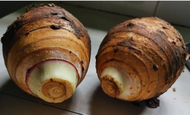 TARO UBI KELADI BESAR LEMBUT LAZAT