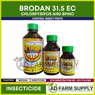 ✌ ┐ ╱ ▩ BRODAN INSECTICIDE SPRAY FOR PLANTS AND VEGETABLES - Chlorpyrifos & BPMC Formula - Broad Sp