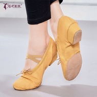 Women's Soft Bottom with Heel Dancing Shoes Practice Shoes Adult Mid Heel Ethnic Ballet Modern Classical Dance Teachers' Shoes