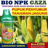 Pupuk Penyubur Akar dan Daun Jagung TERBAIK BIO NPK GAZA 500ML Pupuk NPK Cair untuk Tanaman Jagung Pupuk Pelebat Jagung Paling Bagus Pupuk Organik Jagung Buah Lebat Pupuk Jagung Manis dll Pupuk Pengoptimal Jagung Lebih Besar dan Berat TERLARIS