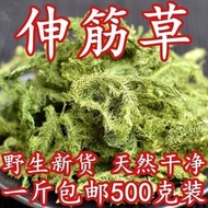 【中药材伸筋草】筋骨草新货透骨草舒筋草石松狮子无硫