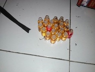 saus rokok borongan