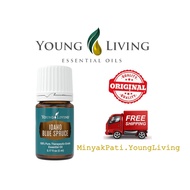Young Living YL Idaho Blue Spruce Essential Oil 5ml (Oil Level 30%-60%)