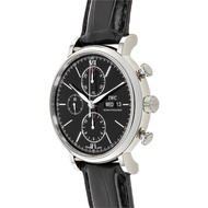 Iwc IWC IWC Baitao Fino Stainless Steel IW391008Automatic Mechanical Watch Men's Watch Wrist Watch