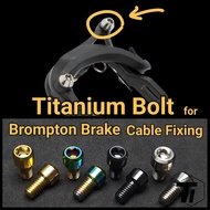 Titanium Bolt for Brompton Brake Cable Fixing Pressing | P-Line T-Line M6L Titanium Screw Grade 5 Si