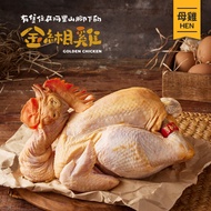 【金緗雞】生鮮母雞 2.2KG±10% 母 全雞 文昌雞 土雞