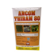 1KG Ancom Thiram 80 Thiram 80% Racun Kulat Chili Terung Bendi Durian Limau Jagung Sayur Kebun Penceg