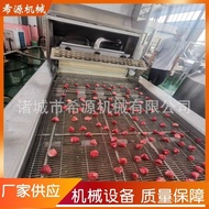Freeze-dried Strawberry Chocolate Coating Machine Fully Automatically Wrapped Chocolate Equipment Ty